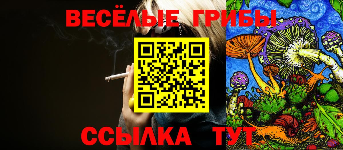 Галлюциногенные грибы MAGIC MUSHROOMS Туапсе
